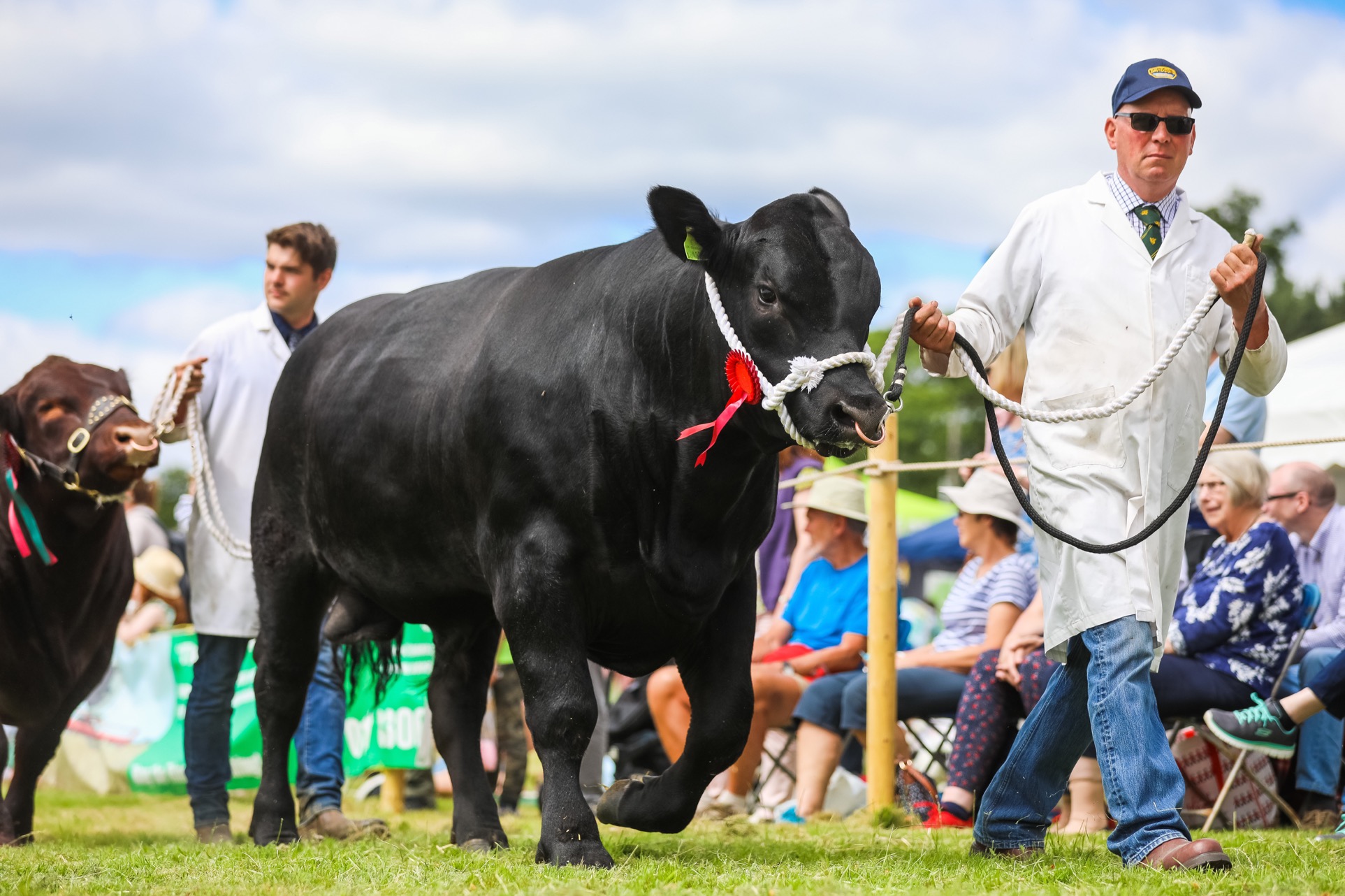 Winners on the move - the Livestock Grand Parade 2019