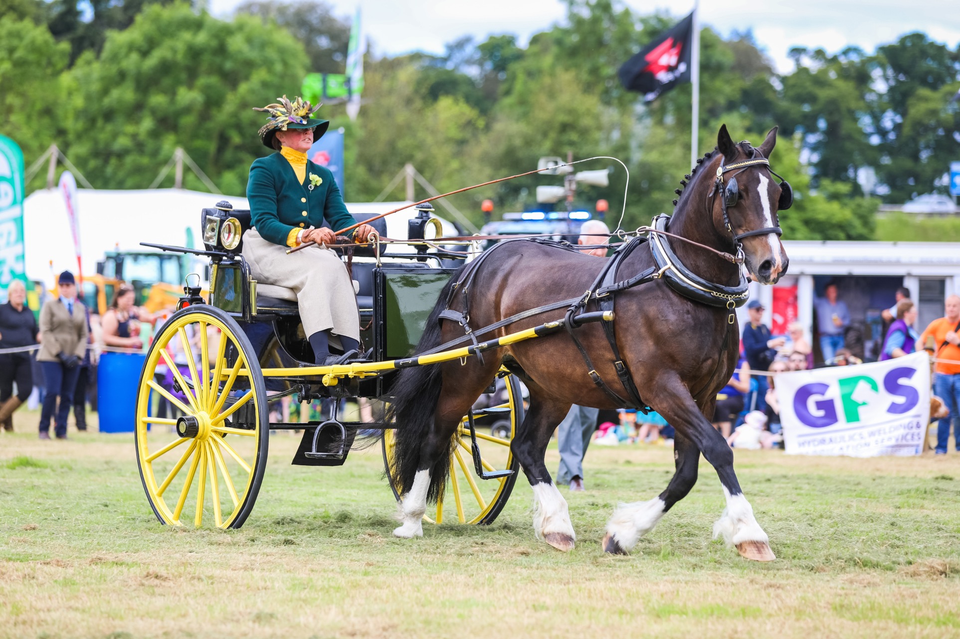 Carriage driving of all shapes and sizes